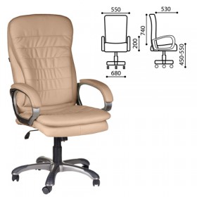 Кресло офисное BRABIX Omega EX-589 в Белом Яре - belyj-yar.katalogmebeli.com | фото