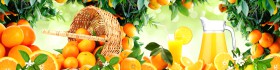 Кухонный фартук AG 82 Апельсиновый рай Еда в Белом Яре - belyj-yar.katalogmebeli.com | фото 1