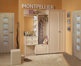 Шкаф для прихожей МЦН 2 Montpellier в Белом Яре - belyj-yar.katalogmebeli.com | фото 2