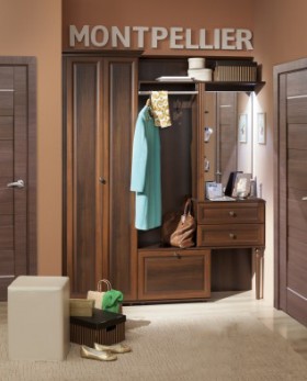Шкаф для прихожей МЦН 2 Montpellier в Белом Яре - belyj-yar.katalogmebeli.com | фото 3